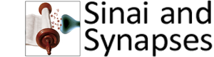 Sinai-and-Synapses-New-Logo-4.png